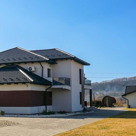 Casa Ambientt Curtea de Argeş Exterior foto