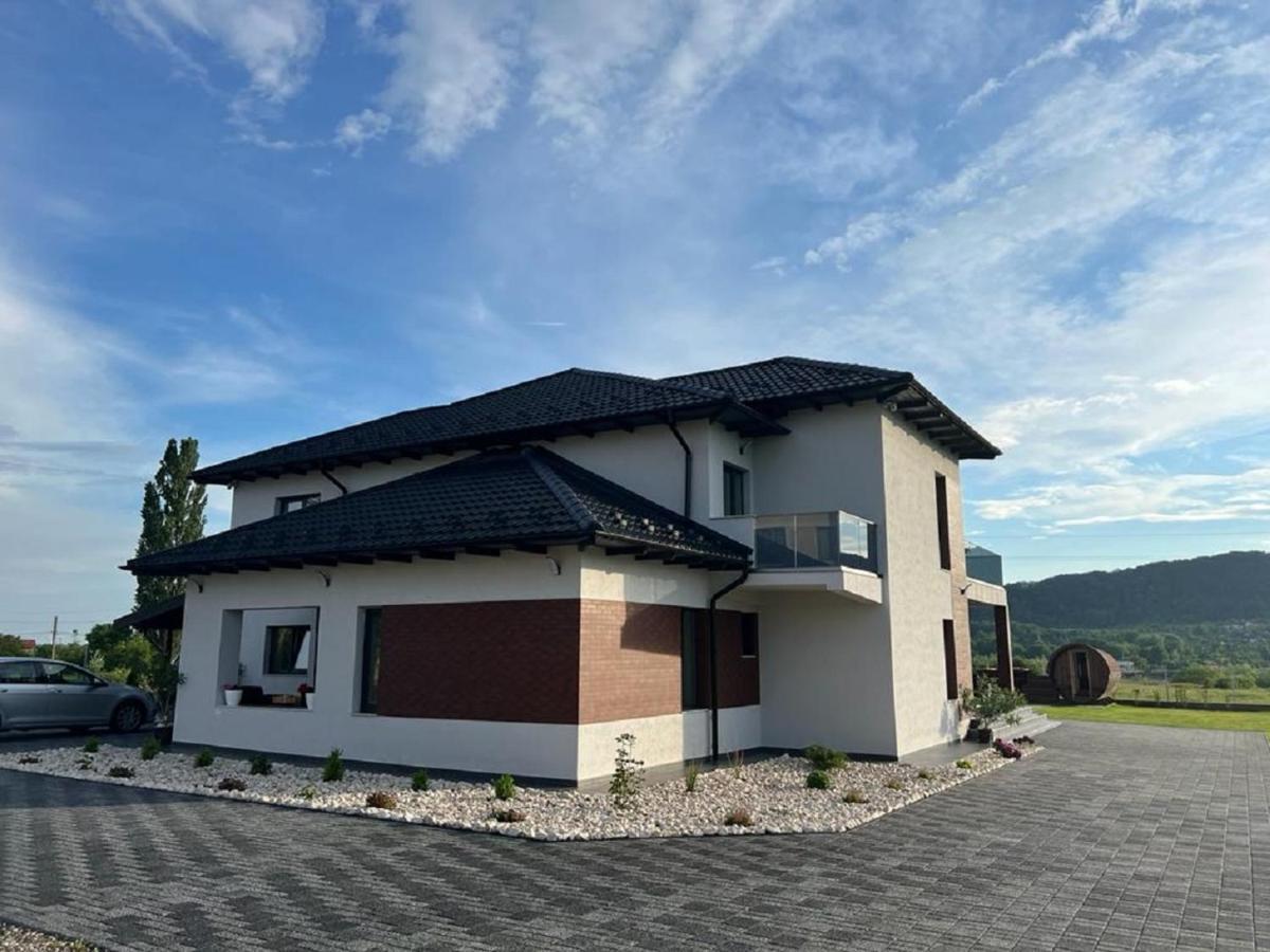 Casa Ambientt Curtea de Argeş Exterior foto